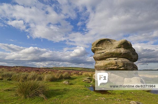 The Eagle stone on heather moorland  Baslow Edge near Curbar  Peak District National Park  Derbyshire  England  United Kingdom  Europe