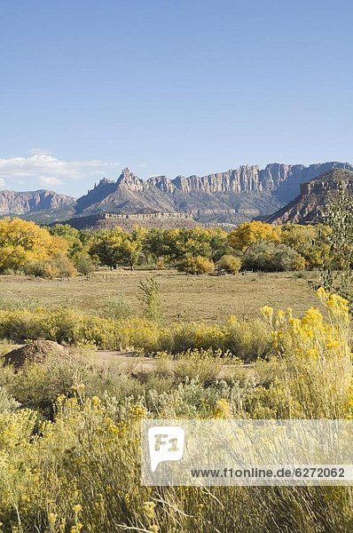 Landscape near Zion 0tio0l Park  Utah  United States of America  North America