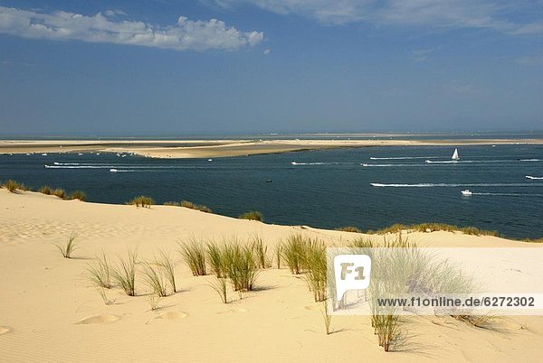 Sandbank  Frankreich  Europa  Aquitanien  Gironde