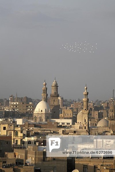 Nordafrika  Kairo  Hauptstadt  über  Islam  Zimmer  Afrika  Ägypten