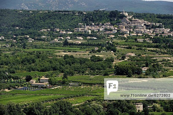 Ländliches Motiv  ländliche Motive  Frankreich  Europa  Landschaft  Dorf  Ansicht  Sehenswürdigkeit  Provence - Alpes-Cote d Azur  Lacoste
