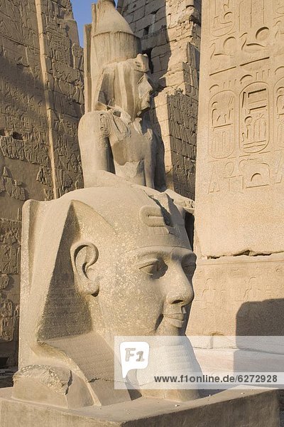 Nordafrika  groß  großes  großer  große  großen  UNESCO-Welterbe  Afrika  Ägypten  Luxor  Luxor Tempel
