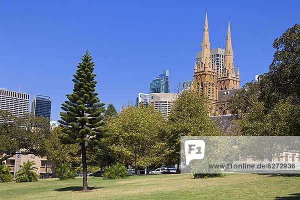 sehen  Kathedrale  Pazifischer Ozean  Pazifik  Stiller Ozean  Großer Ozean  Australien  New South Wales  Sydney