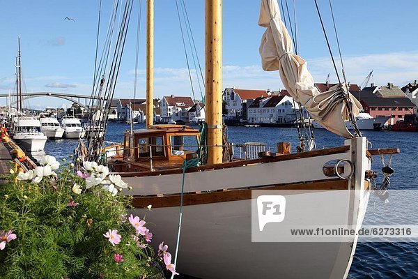 Traditional wooden boat  Colin Archer type  Haugesund  Norway  Scandinavia  Europe