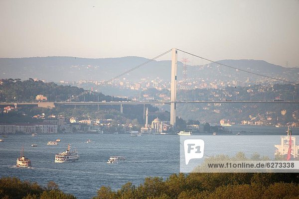 Truthuhn  Europa  Istanbul  Türkei