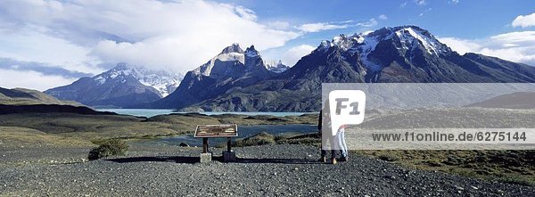 Tourists looking towards the Cuernos del Paine mountains  Torres del Paine National Park  Patagonia  Chile  South America