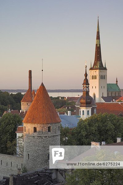 Tallinn  Hauptstadt  Mittelalter  Europa  Wand  Stadt  Kirchturm  Estland