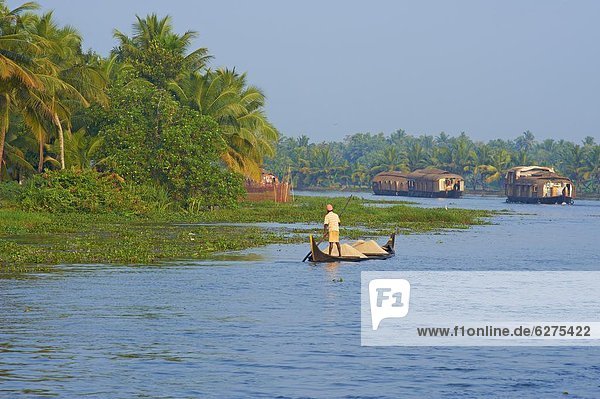 Stauwassern  Spezialitäten  Kerala  Indien  Asien