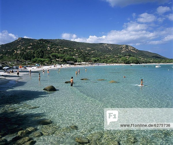 Palombaggia Beach  near Porto Vecchio  South East Corsica  Corsica  France  Mediterranean  Europe