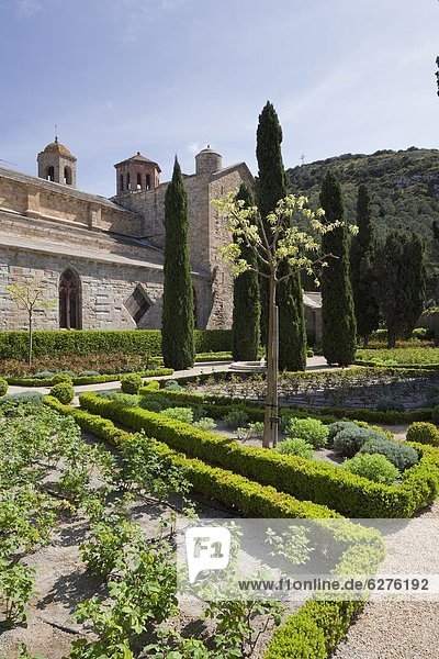 Frankreich  Europa  Kirche  Garten  Rückansicht  Abtei  Languedoc-Roussillon  Rose