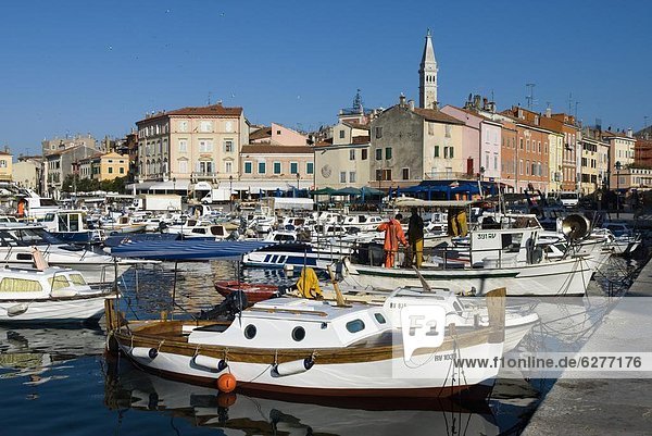 Fishing harbour and St. Euphemia's Church  Rovinj  Istria  Croatia  Adriatic  Europe