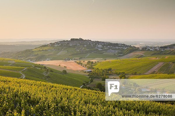 Frankreich  Europa  Beleuchtung  Licht  Himmel  über  füllen  füllt  füllend  Morgendämmerung  Dorf  Start  Weinberg  Loiretal