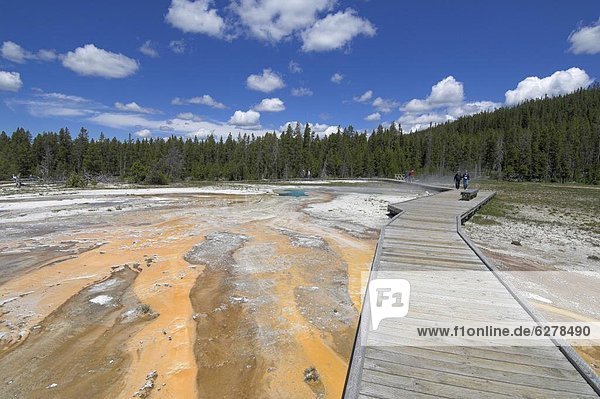 Wooden boardwalk over the mineral sinter formations on Geyser Hill  Upper Geyser Basin  Yellowstone National Park  UNESCO World Heritage Site  Wyoming  United States of America  North America