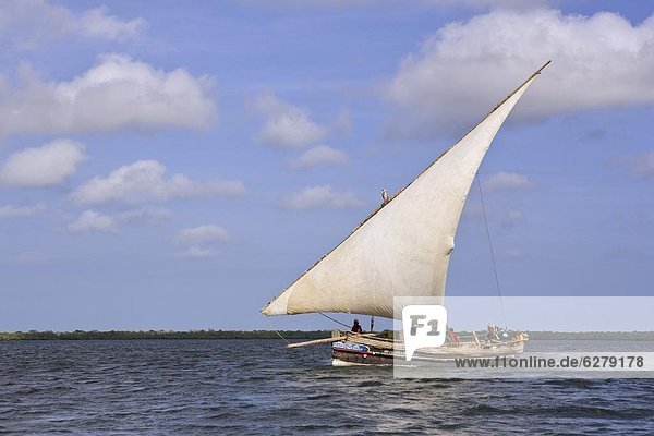 Ostafrika  Segeln  Tradition  Küste  Boot  Afrika  Dau  Kenia