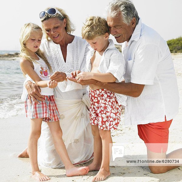 Grandparents and grandchildren (6-8) on beach
