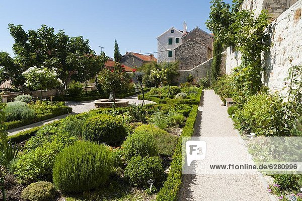 Medieval mediterranean garden of St. Lawrence Monastery  Sibenik  Dalmatia region  Croatia  Europe