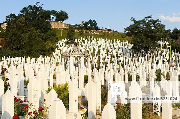 Kovaci War Cemetery with gravestone of first president of Bosnia and Herzegovina  Alija Izetbegovic  Sarajevo  Bosnia and Herzegovina  Europe