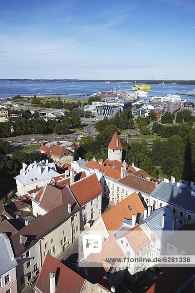 Tallinn Hauptstadt Europa Stadt Hintergrund Fähre Ansicht Estland