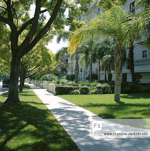 Trees and grass along sidewalk  Beverly Hills  Los Angeles  California  United States of America (USA)  North America