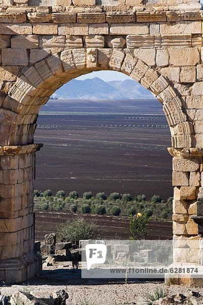 Countryside around the Roman site of Volubilis  Morocco  North Africa  Africa