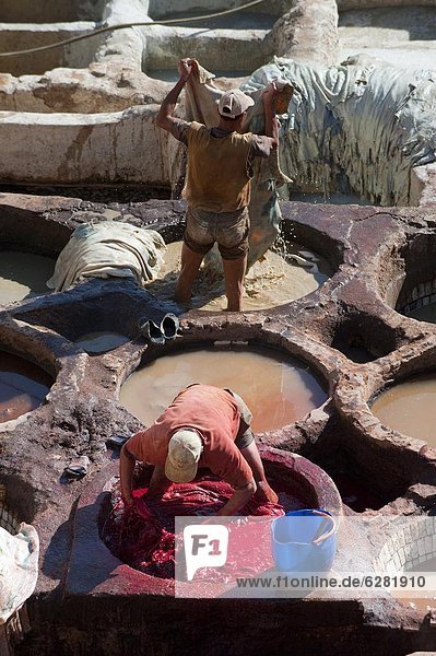 Fez Tannery  Fez  Morocco  North Africa  Africa