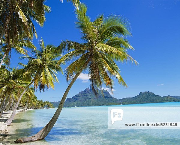 Pazifischer Ozean  Pazifik  Stiller Ozean  Großer Ozean  Bora Bora  Französisch-Polynesien  Gesellschaftsinseln  Tahiti