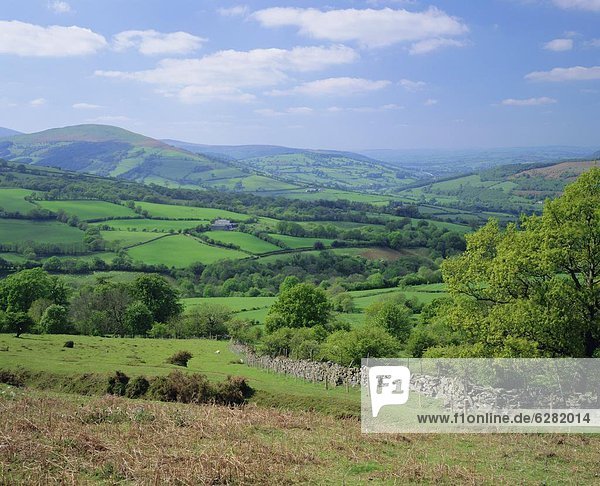 nahe  Europa  Großbritannien  Tal  Feld  Powys  Wales