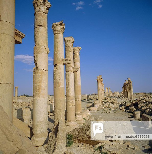 Sieg  Gewinn  Werbung  Jahrhundert  Palmyra  Syrien