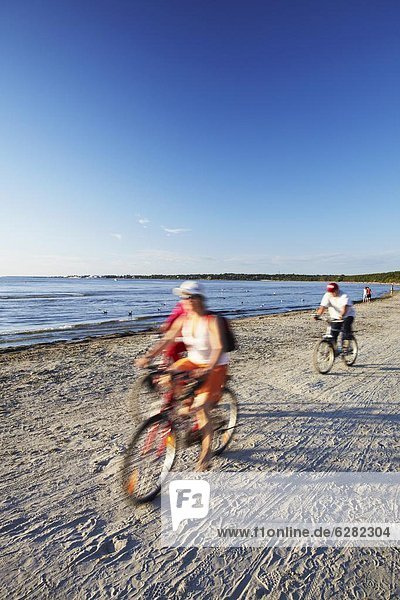 Cyclists on Pirita Beach  Tallinn  Estonia  Baltic States  Europe