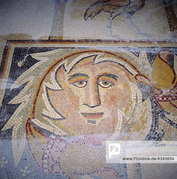 Apostles church  6th century AD mosaic  Madaba  Jordan  Middle East