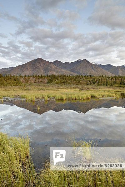Vereinigte Staaten von Amerika  USA  Berg  Spiegelung  Nordamerika  Bundesstraße  vorwärts  Denali Nationalpark  Alaska  Teich