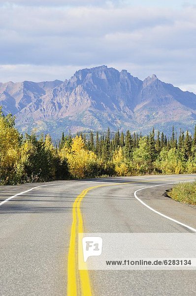 Parks Highway and Alaska Range  Alaska  United States of America  North America