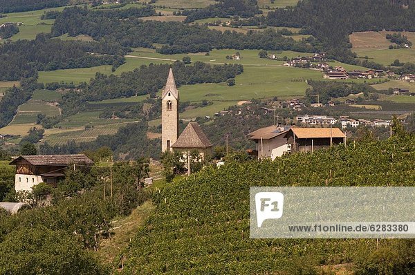 Trentino Südtirol  Europa  Weinberg  Dolomiten  Italien