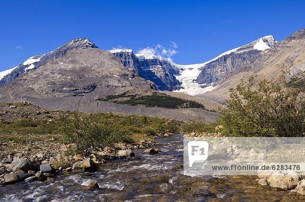 Stream in Jasper National Park  UNESCO World Heritage Site  Alberta  Rocky Mountains  Canada  North America