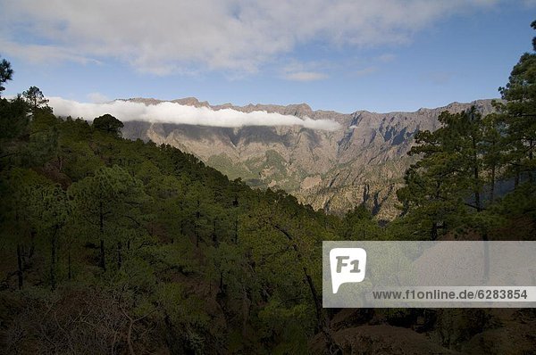Volcanic crater of Taburiente  La Palma  Canary Islands  Spain  Europe