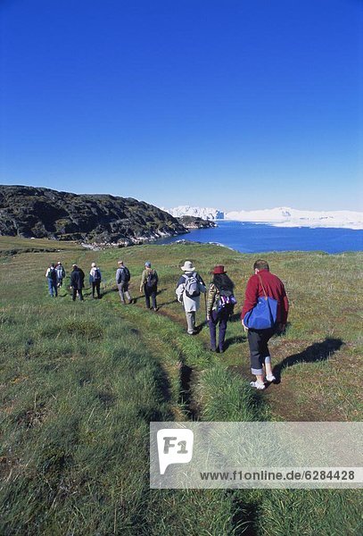 gehen  Tourist  Grönland  Ilulissat