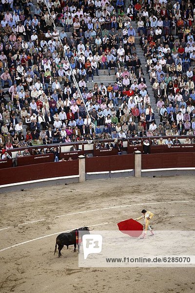 Madrid  Hauptstadt  Europa  nehmen  Stierkampf  Platz  Spanien