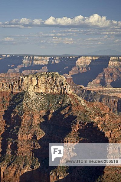 Vereinigte Staaten von Amerika  USA  Nordamerika  Arizona  Grand Canyon Nationalpark  UNESCO-Welterbe  North Rim