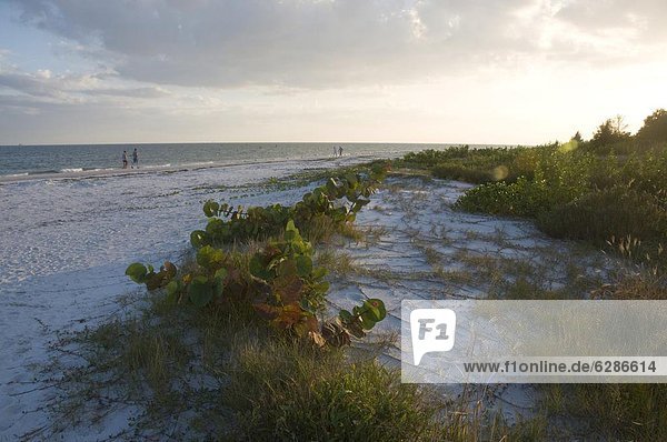 Sunset on beach  Sanibel Island  Gulf Coast  Florida  United States of America  North America