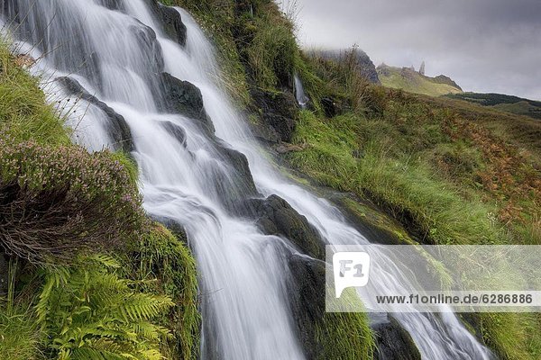 Europa  Mann  Großbritannien  Ereignis  Hintergrund  Wasserfall  Highlands  Wiese  Isle of Skye  alt  Schottland  Hang