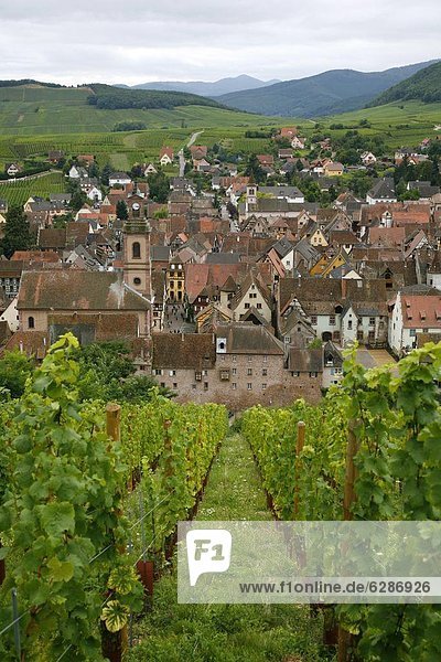 Frankreich  Europa  Wein  über  Dorf  Ansicht  Weinberg  Zimmer  Richtung  Elsass  Riquewihr