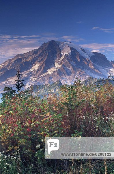 Vereinigte Staaten von Amerika  USA  Landschaft  Nordamerika  Mount Rainier Nationalpark  Washington State