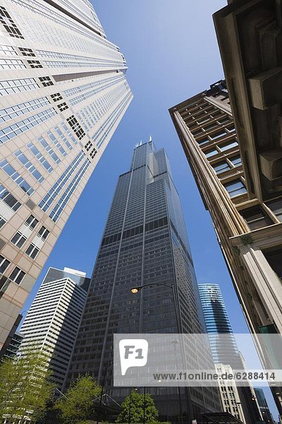 Sears Tower  Chicago  Illinois  Vereinigte Staaten von Amerika  Nordamerika