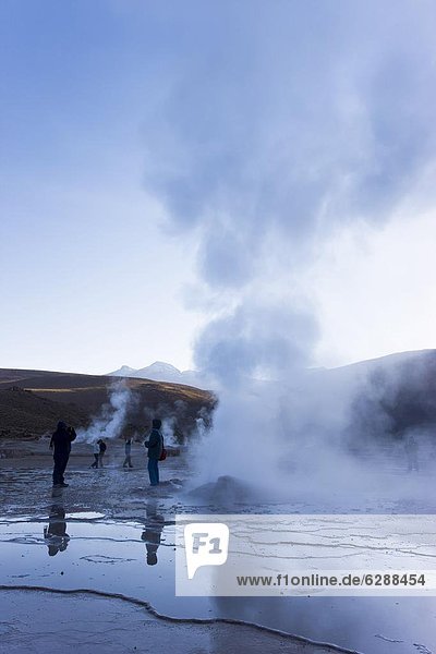 El Tatio Geysers  at 4300m above sea level El Tatio is the world's highest geyser field  the area is ringed by volcanoes and fed by 64 geysers  Atacama Desert  Norte Grande  Chile  South America