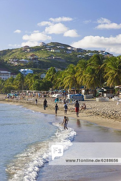 Frigate Bay Beach  St. Kitts  Leeward Islands  West Indies  Caribbean  Central America