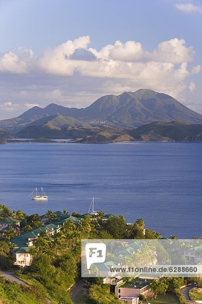 Strand  Ruhe  Karibik  Westindische Inseln  Mittelamerika  Seitenansicht  Fregattvogel  Fregatidae  Bucht  Leeward Islands