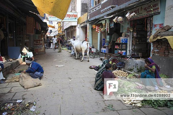 Landstraße  Großstadt  Indien  schmal  alt  Uttar Pradesh  Varanasi
