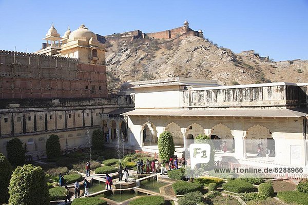 Garden  Amber Fort Palace with Jaigarh Fort or Victory Fort above  Jaipur  Rajasthan  India  Asia