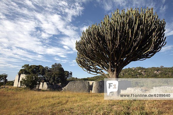 Ruine  groß  großes  großer  große  großen  UNESCO-Welterbe  Afrika  antik  Zimbabwe