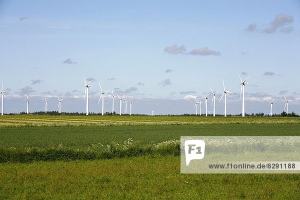 Windturbine Windrad Windräder Europa Dänemark Skandinavien